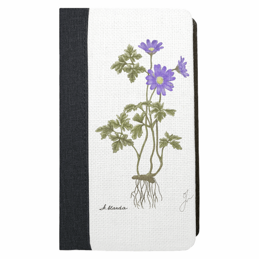 Anemone Blanda Botanical Art Notebook
