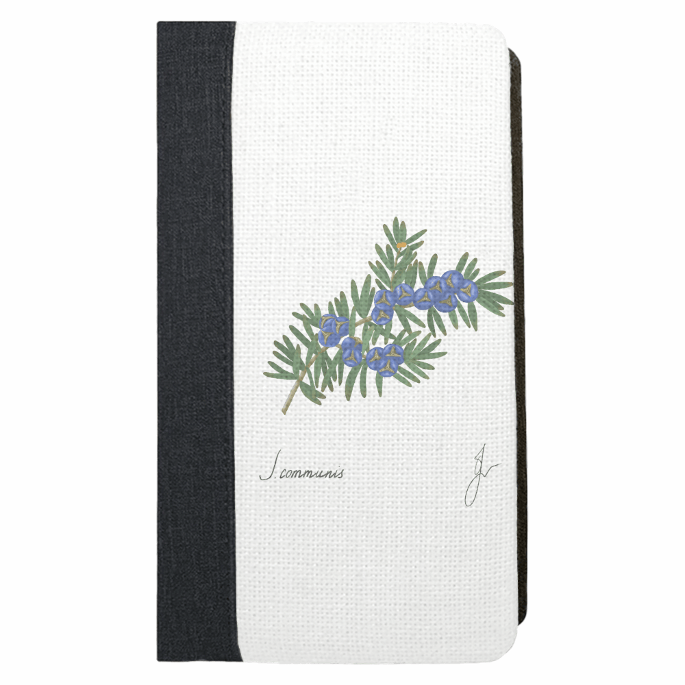 Juniper notebook close showing the botanical drawing