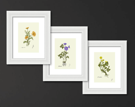 Mountain Flora Trio - All White Framed Prints on black wall