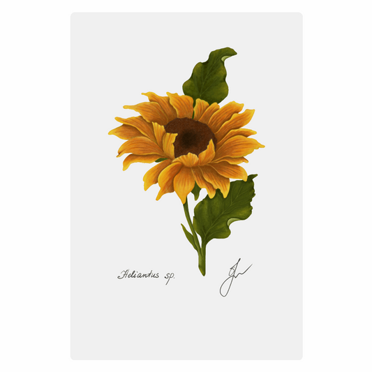 Sunflower Metal poster