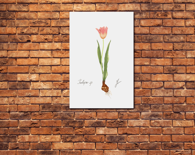 Tulip Metal Poster on a red brick wall