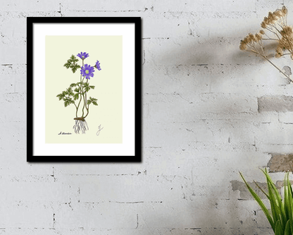 anemone black framed on white wall