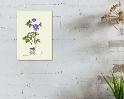 anemone fine art print hanging on white wall