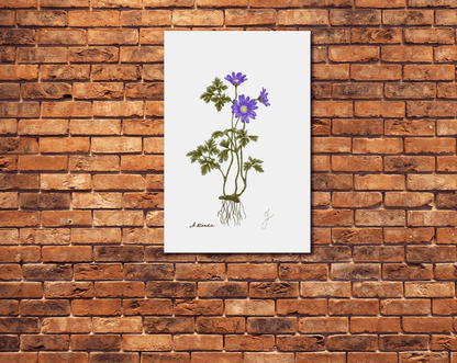 anemone metal poster on a brick wall