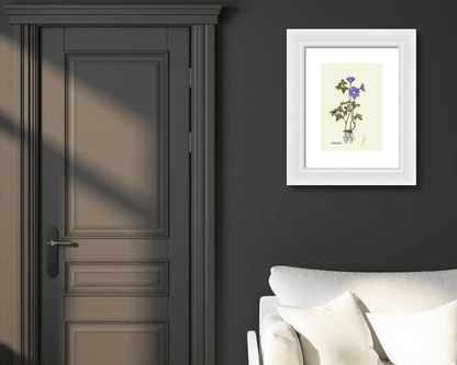 anemone white framed print on dark wall