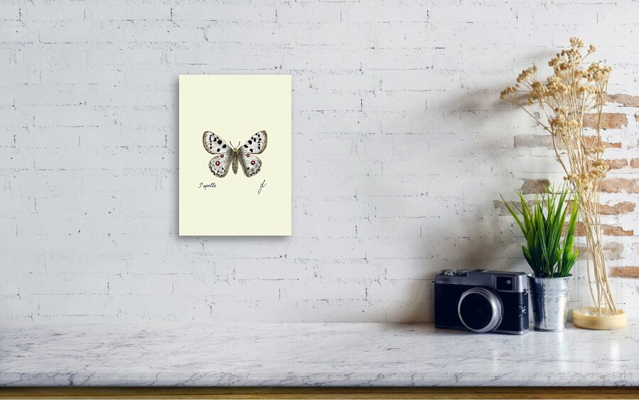 apollo canvas print on white wall. on a table a camera and a plant. 