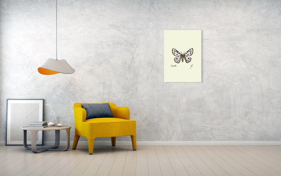 Apollo butterfly fine art on a wall next to a yellow sofa and few books over a small table. 