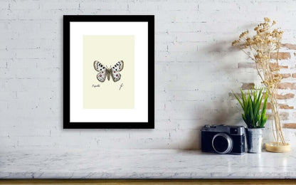 apollo butterfly fine art print on a black frame wall art next to a camera and a plant