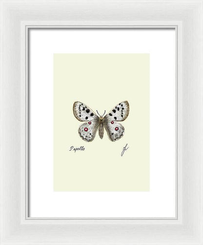 apollo-fine art print with white frame