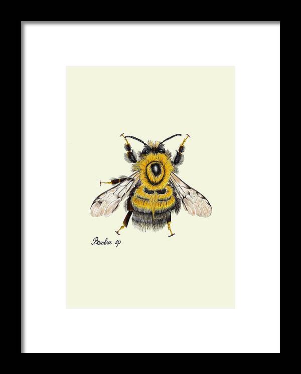 bumblebee fine art on black framed print with no background