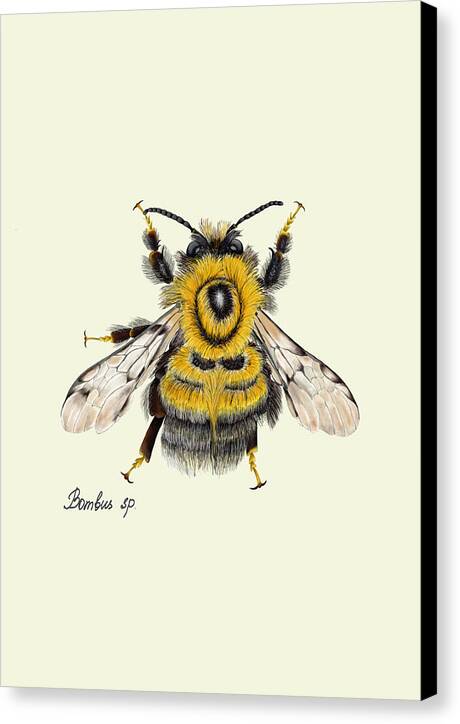 bumblebee-black sided-canvas-print