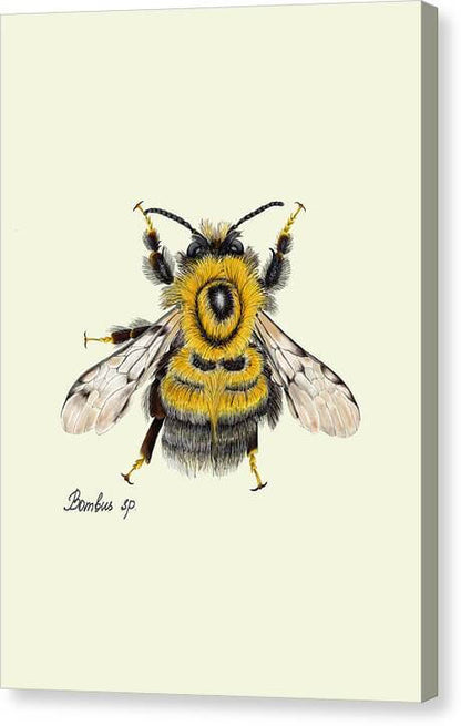 bumblebee-canvas-print