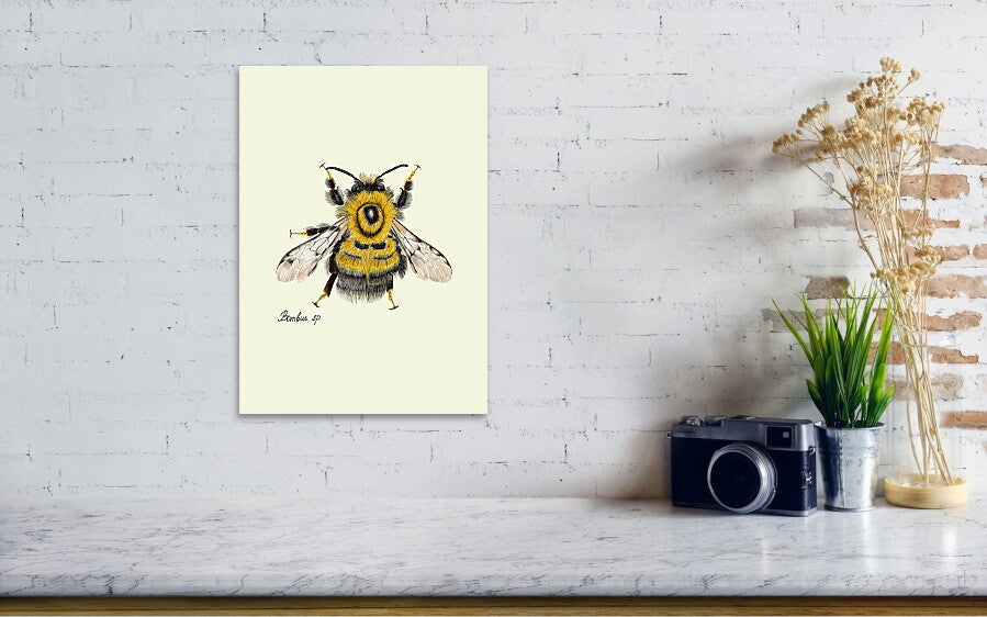 bumblebee art print on a wall, next to a vintage camera standing on a marble wall.