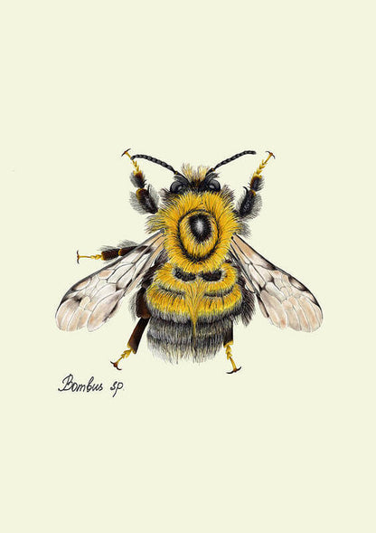 the majestic beauty of the a bumblebee art print. 