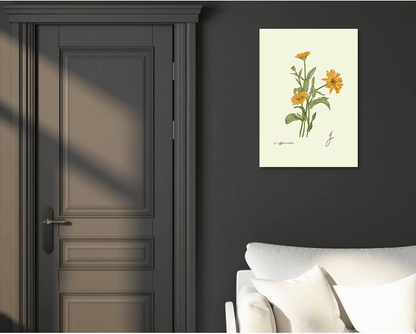 calendula fine art print on dark wall