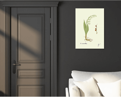 convallaria fine art print on dark wall