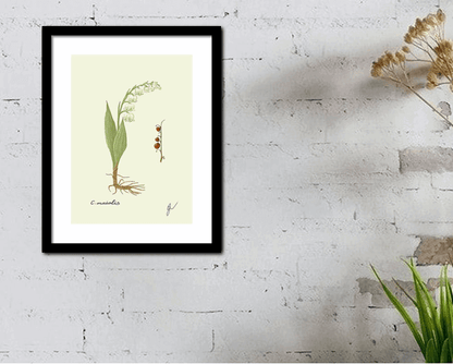 convallaria black framed print on white wall