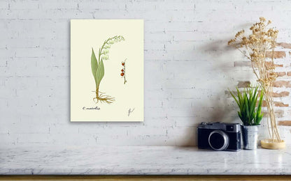 convallaria canvas print on white wall