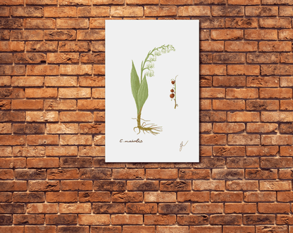 convallaria metal poster on a brick wall