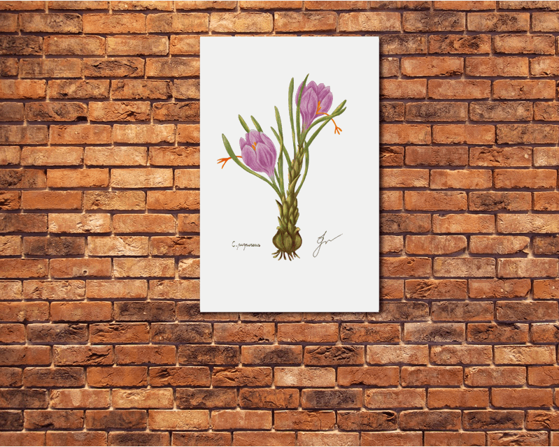 crocus Metal poster on a red brick wall