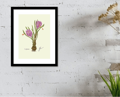 crocus black framed print on white wall