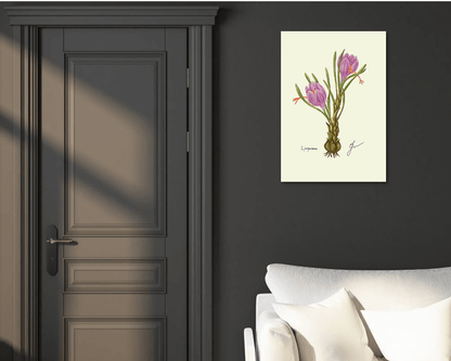 crocus fine art print on dark wall