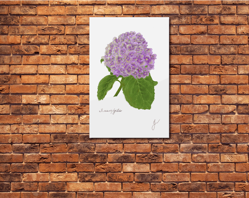 hortensia metal poster on a brick wall