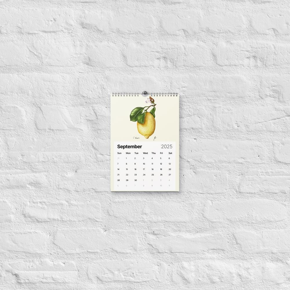 Wall Calendar 2025 - hand drawn lemon for September 2025 - cottagecore style - calendar hanging onawhite bricked wall