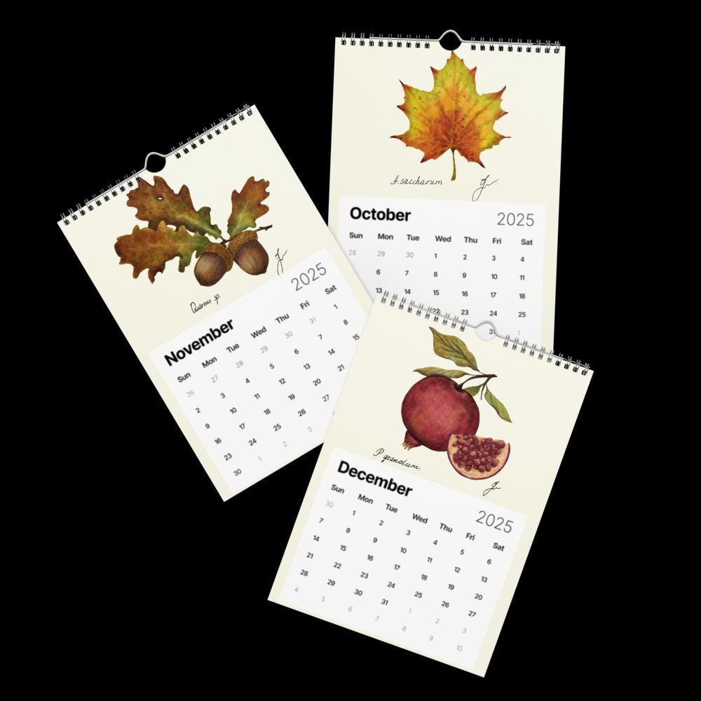 Wall Calendar 2025 - hand drawn trio October - November - December 2025 - cottagecore style