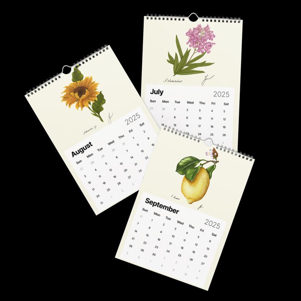 Wall Calendar 2025 - hand drawn trio July - August - September 2025 - cottagecore style