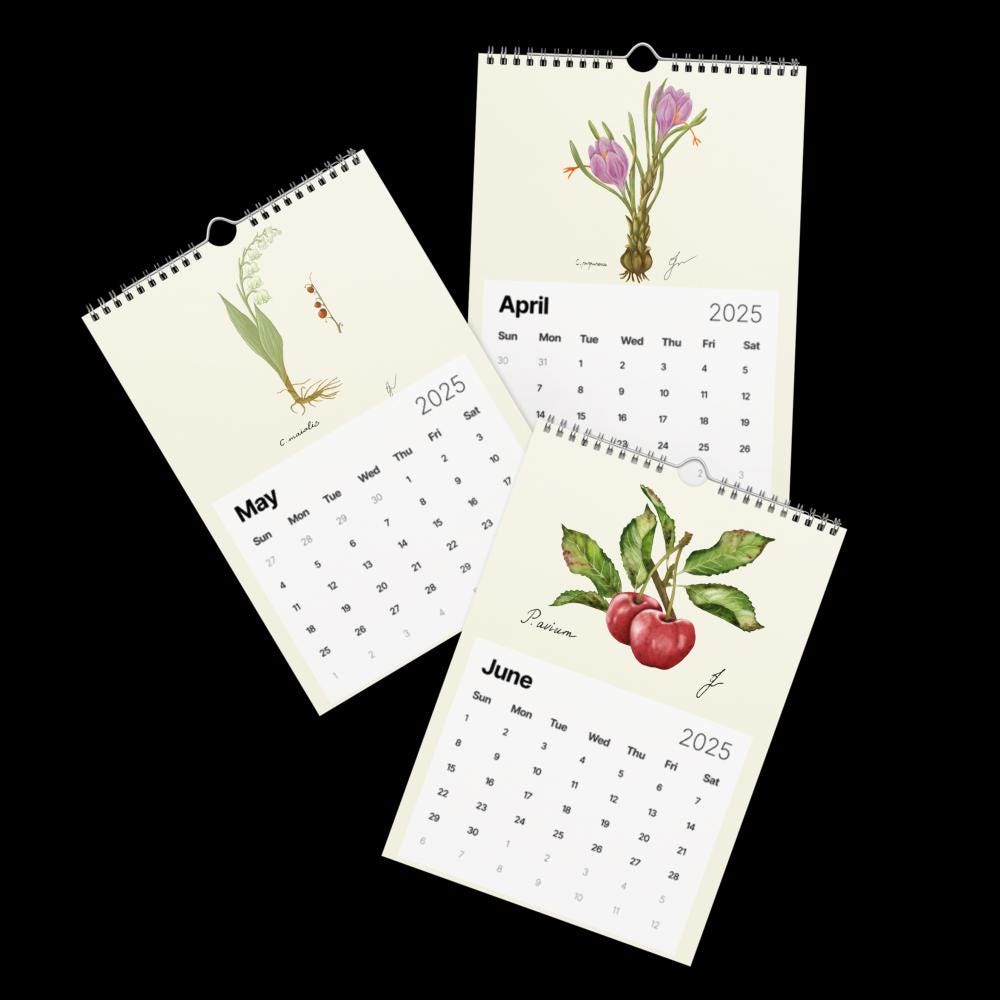 Wall Calendar 2025 - hand drawn trio April - May - June 2025 - cottagecore style