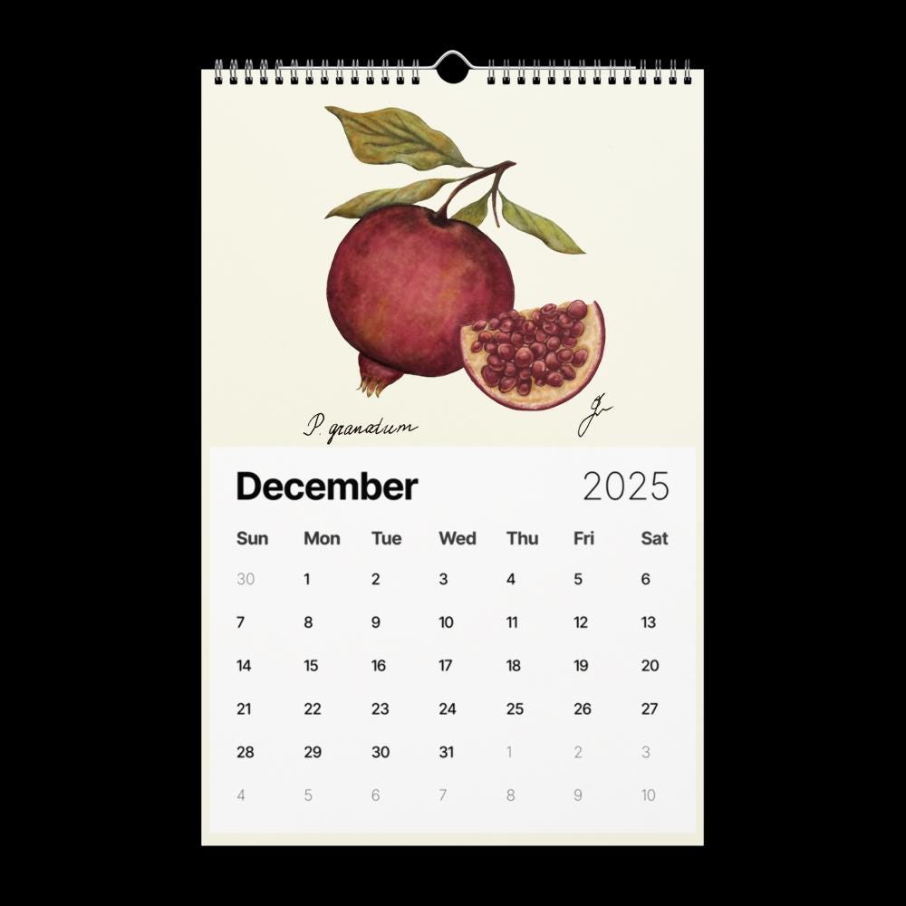 Wall Calendar 2025 - hand drawn pomegranade for December 2025 - cottagecore style