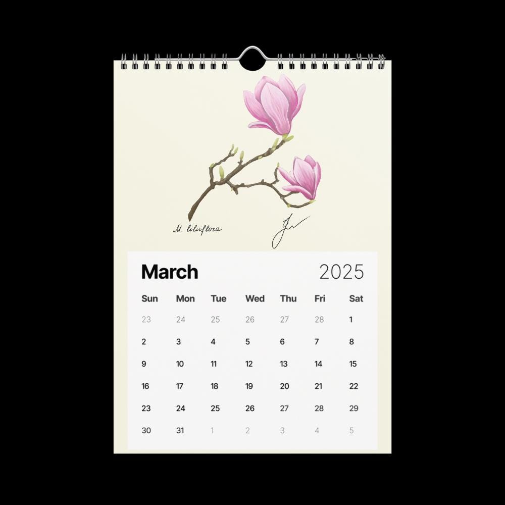 Wall Calendar 2025 - hand drawn magnolia for March 2025 - cottagecore style