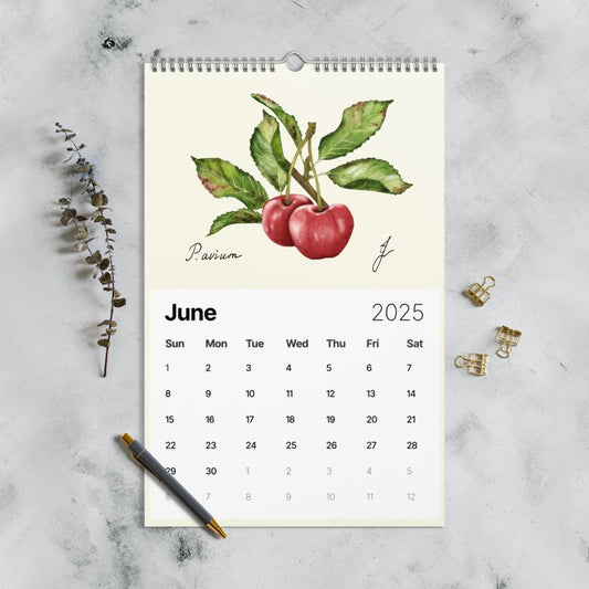 Hand-drawn fruits calendar page for June 2025 featuring cherries, perfect for home decor and unique gifts.