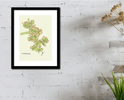 jade botanical art print in a black frame hanging on white wall