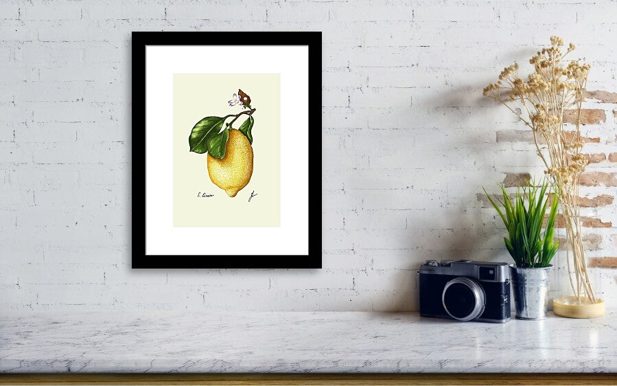 black framed lemon art print hanging on a wall next to a vintage camera and a small vae green plant