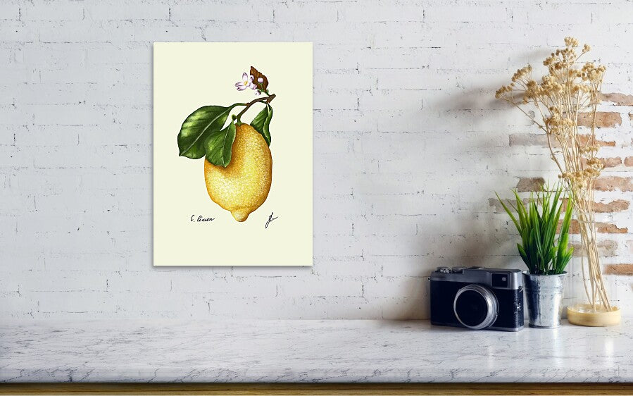 Lemon art print on a wall, next to a vintage camera standing on a marble wall.