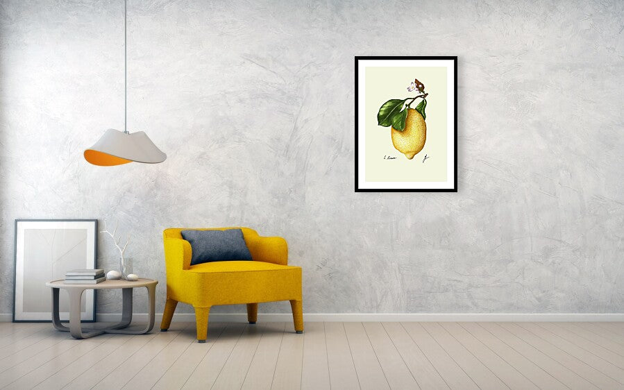 lemon-fine art print with black frame hanging on a wall next to a yellow sofa and a lamp