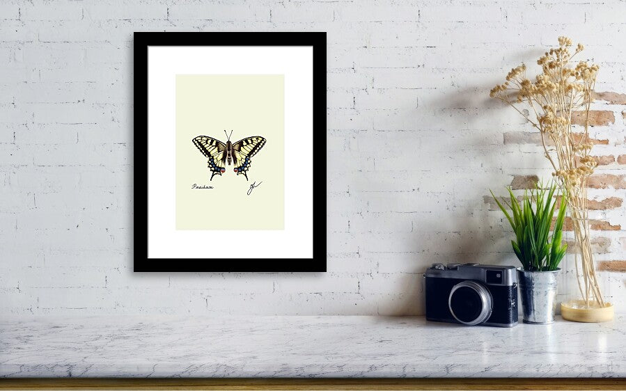 black framed machaon art print hanging on a wall next to a vintage camera and a small vae green plant