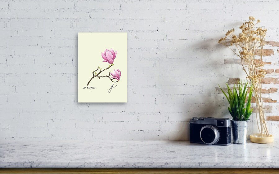 magnolia canvas print on white wall. on a table a camera and a plant. 