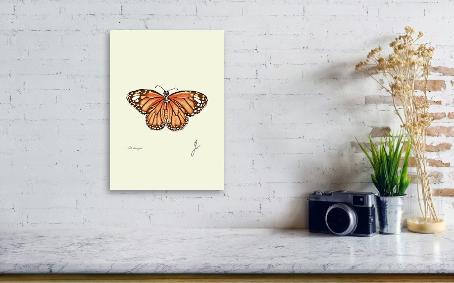 monarch canvas print on white wall