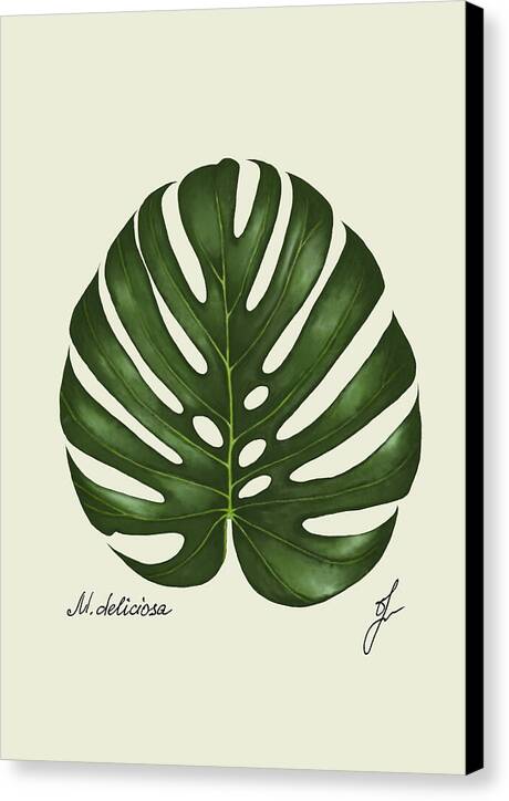 monstera-black sided canvas-print