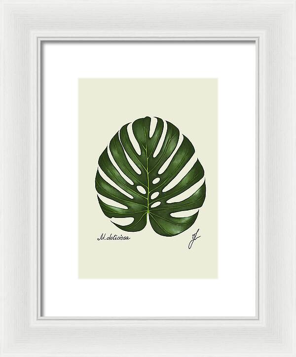 monstera-white framed fine art