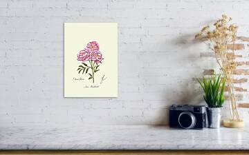 Peony fine art hanging on a kitchen wall with a camera next to it