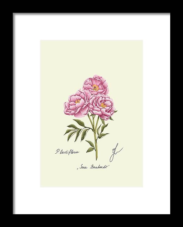 peony fine art on black framed print with no background