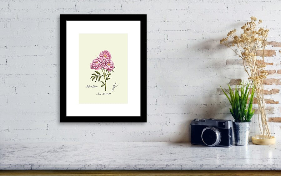 black framed peony art print hanging on a wall next to a vintage camera and a small vae green plant