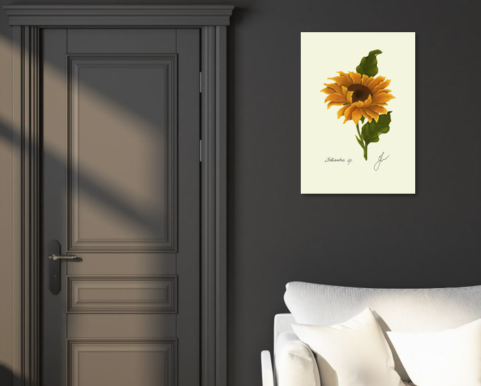 sunflower fine art print on dark wall