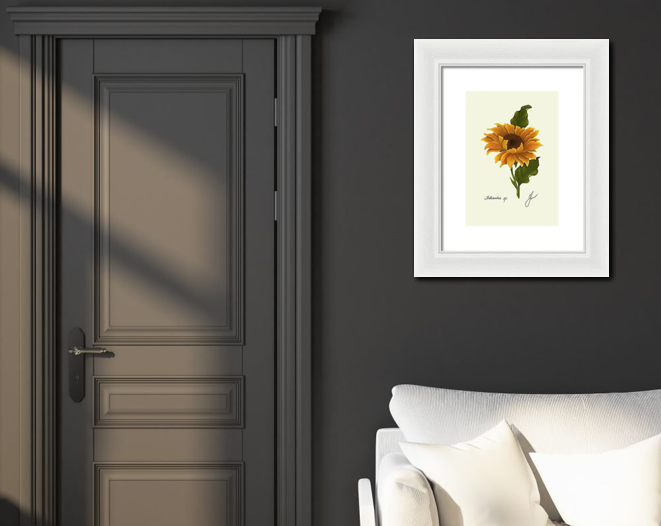 sunflower framed on dark wall