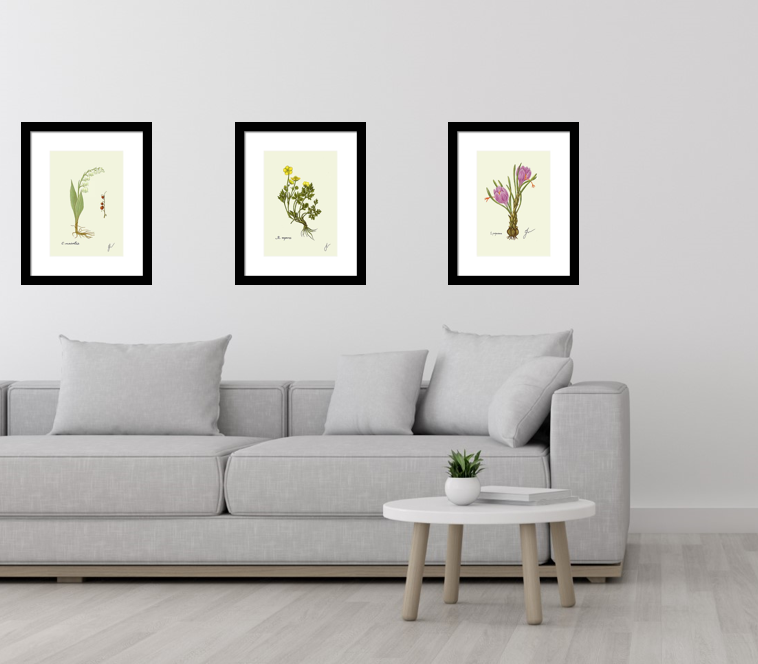 three framed prints on couch 