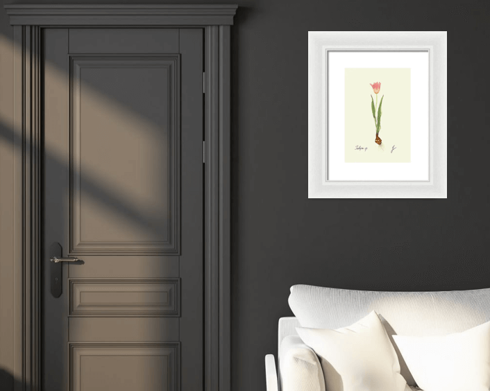 tulip white framed on dark wall